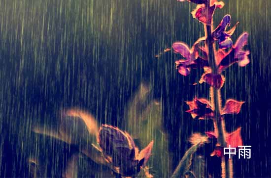 儋州今日天气中雨 2024年5月19日儋州天气预报