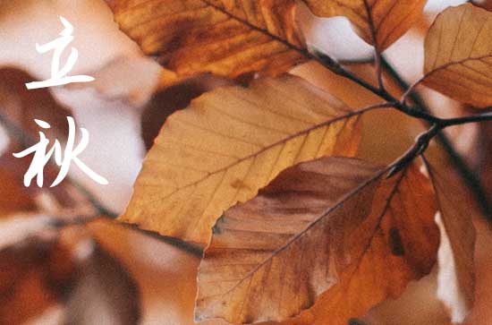 满阶梧桐月明中和寒樱枝白是狂花哪句诗描写的立秋时节的景象