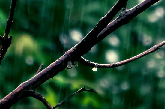 黄冈5月19日天气预报:高温29℃~低温20℃，小雨转雨，会下雨