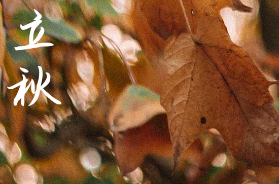 最新关于立秋的诗句 描写立秋的古诗