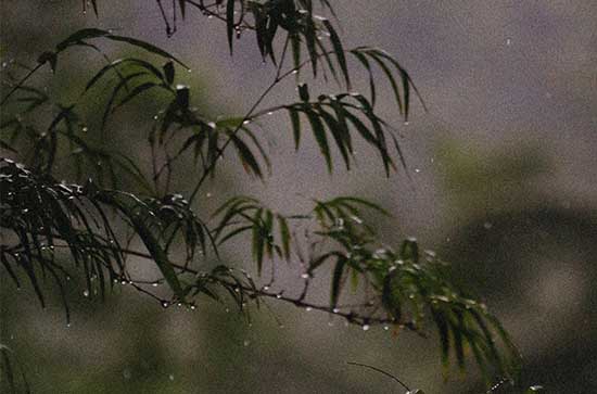 鄂州5月19日天气预报:高温29℃~低温20℃，小雨转雨，会下雨