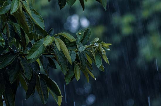 朔州5月19日天气预报:高温28℃~低温15℃，小雨转雨，会下雨