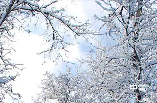 辽宁12月13日大范围降雪又来袭 阜新未来三天天气预报
