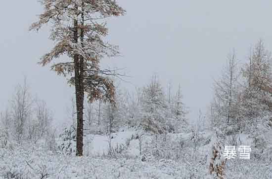 山东2023年12月20日天气部分地区降雪多地寒冷程度同期少见 枣庄未来三天天气预报