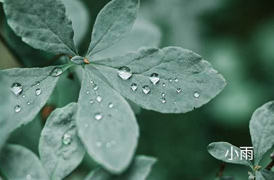 克拉玛依5月18日天气预报:高温29℃~低温20℃，小雨转阴，会下雨