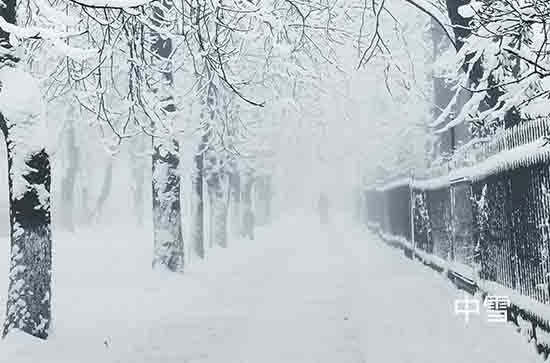 河南12月13日再迎大范围雨雪局地大暴雪 三门峡未来三天天气预报
