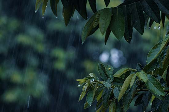 鞍山5月19日天气预报:高温22℃~低温14℃，小雨转雨，会下雨