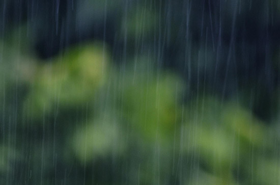 龙岩5月19日天气预报:高温22℃~低温19℃，小雨转雨，会下雨